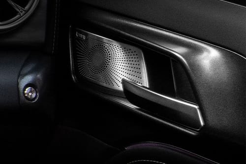 door handle interior of تانك 300