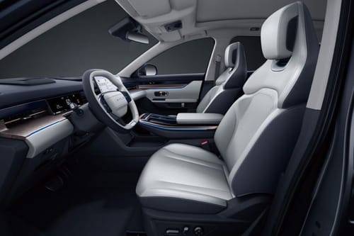 داشينغ Passenger Seat