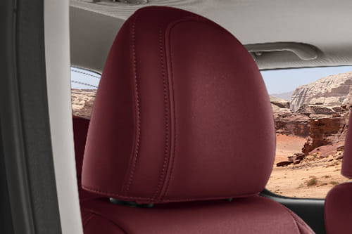 Poer Front Seat Headrest