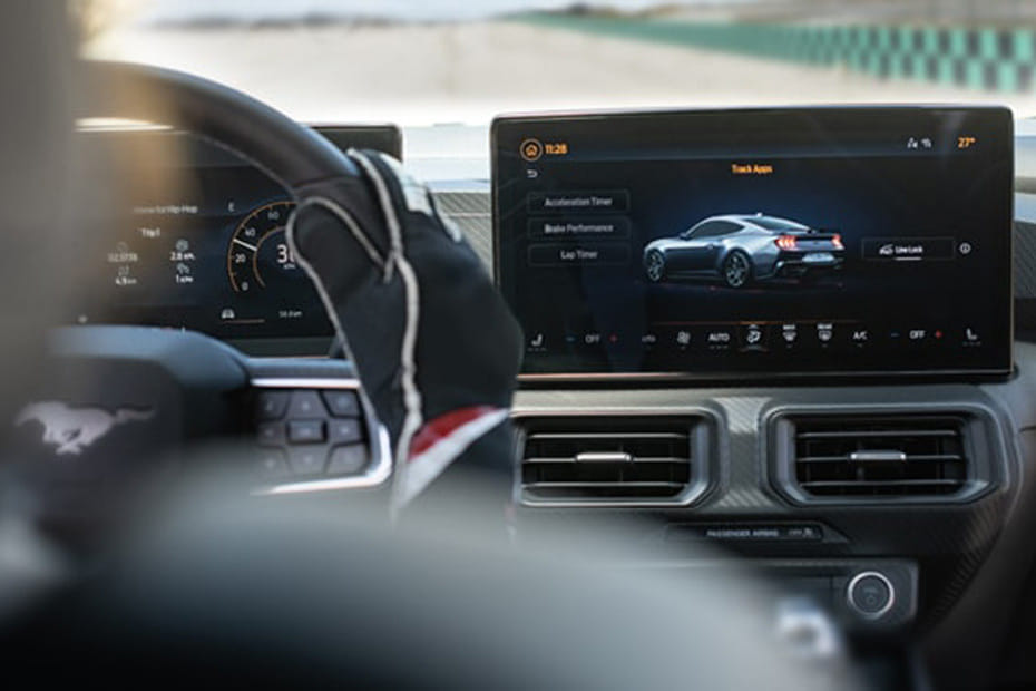Stereo View of Mustang in Saudi Arabia