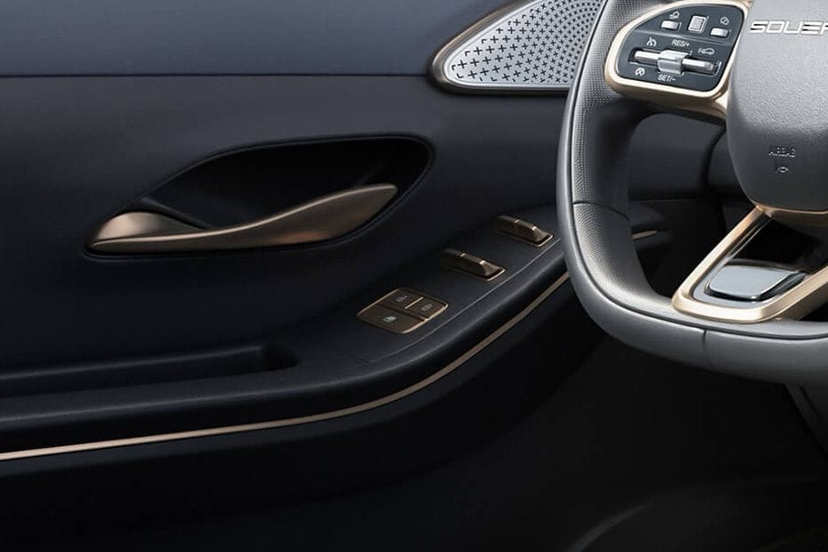 سوإست S09 Drivers Side In Side Door Controls