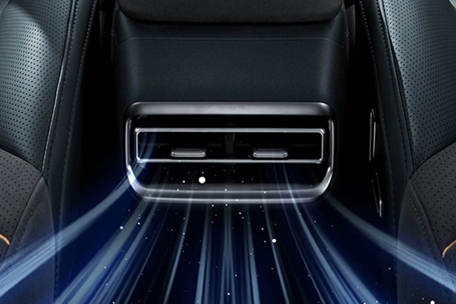 G318 Rear AC Controls