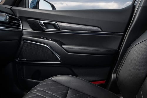 door handle interior of كيا تيلورايد