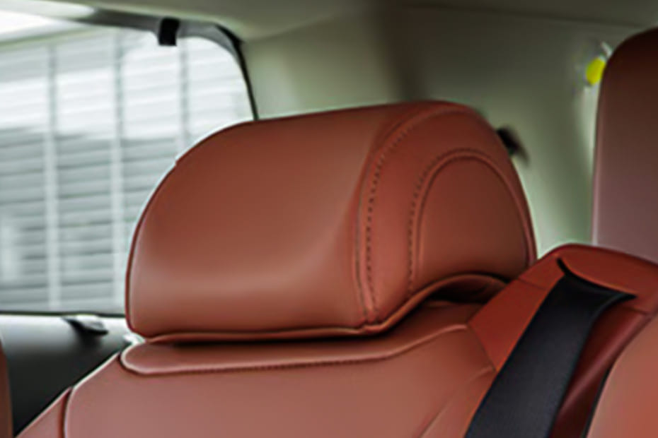 Carnival Hybrid Rear Seat Head rest
