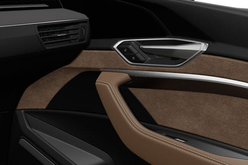 door handle interior of Audi Q8 e-tron