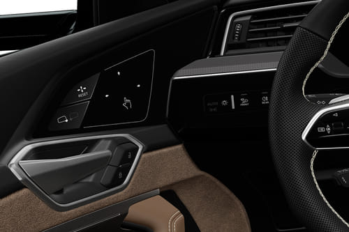 Audi Q8 e-tron Drivers Side In Side Door Controls