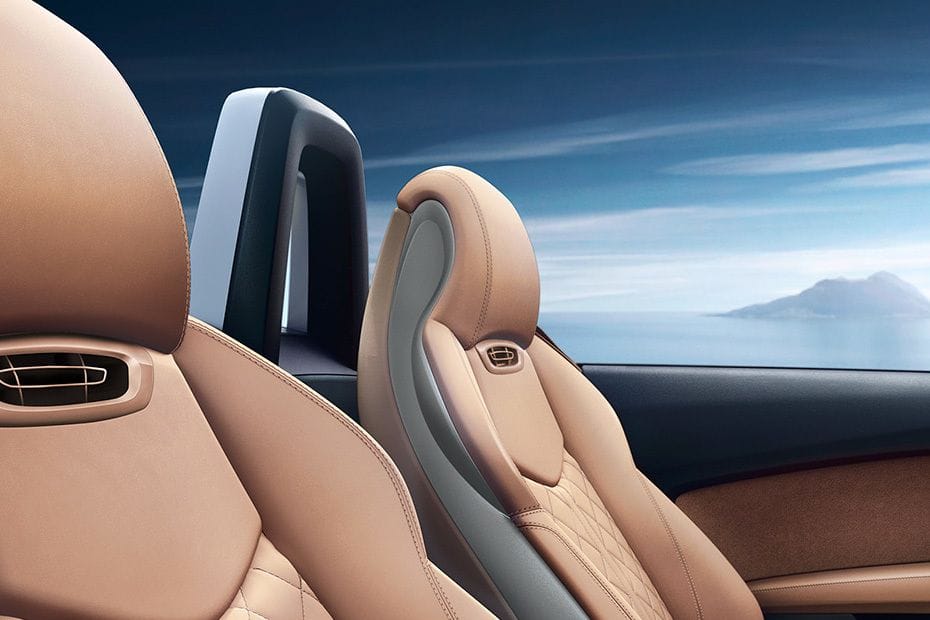 TT Roadster Front Seat Headrest in Saudi Arabia