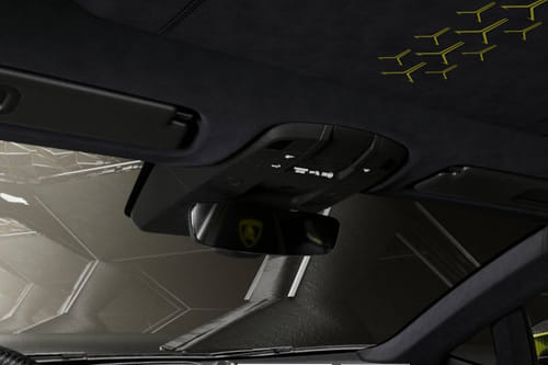 Limited Series Courtesy Lamps