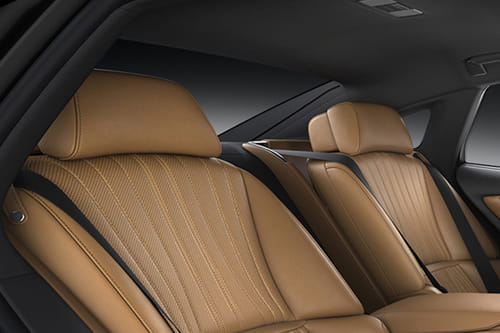 LS Rear Seat Head rest