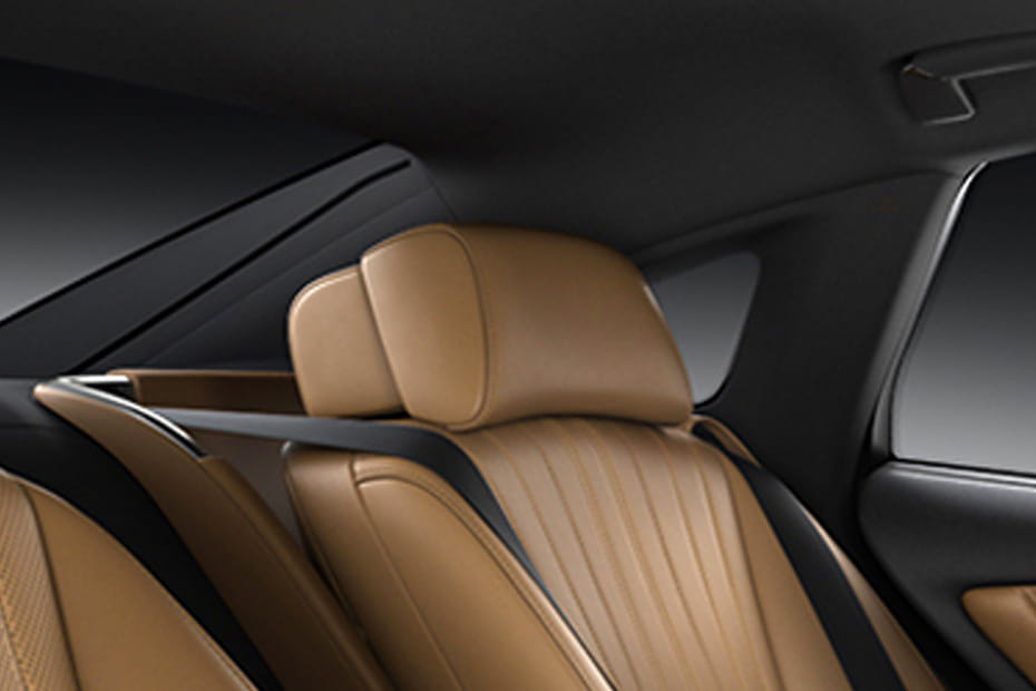 LS Rear Seat Head rest