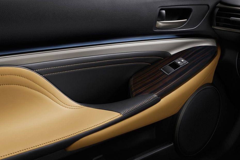 لكزس RC Drivers Side In Side Door Controls