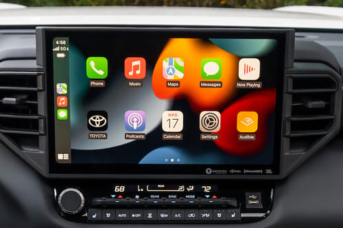 Stereo View of Sequoia