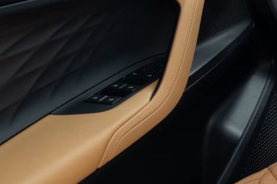 MG HS Drivers Side In Side Door Controls