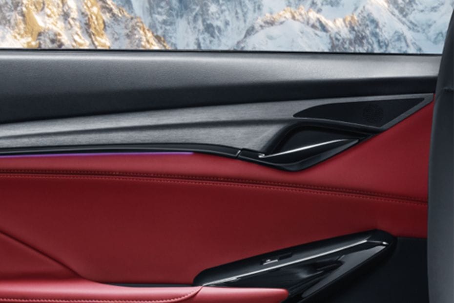 door handle interior of شانجان سي اس 75 بلس