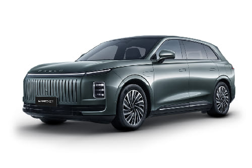 Bamboo Green Grey