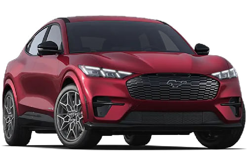 ماجنتا ميتاليك