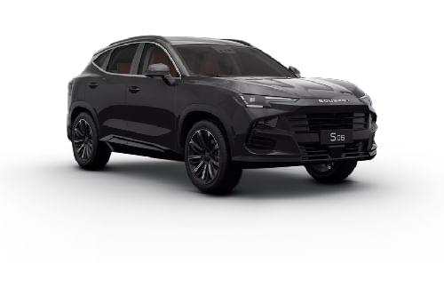 أسود مضاء بالنجوم