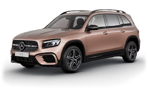 روز جولد ميتاليك