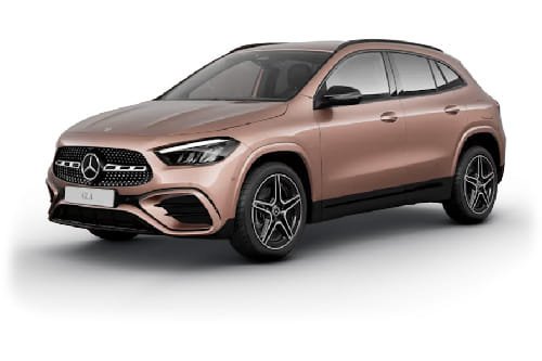 روز جولد ميتاليك