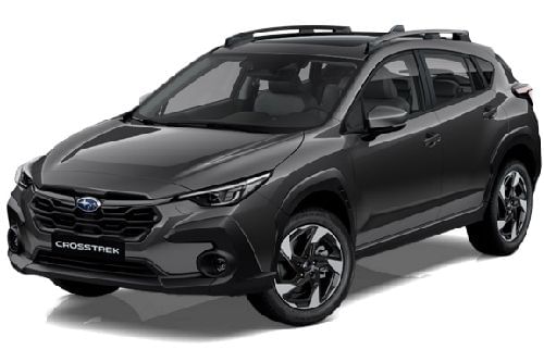 Magnetic Gray Metallic