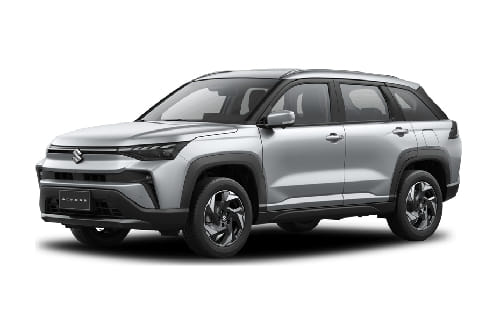 Splendid Silver Pearl Metallic