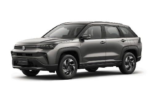 Magma Grey Metallic