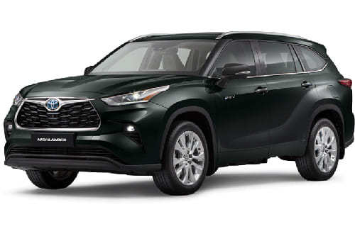 ميكا سوداء ذات موقف