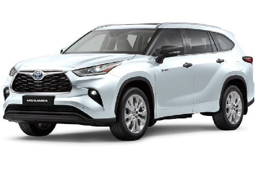 لؤلؤة بيضاء