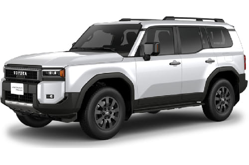 Platinum White Pearl