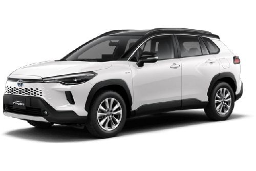 White With Black Roof