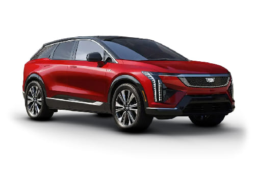 راديانت ريد بلاك