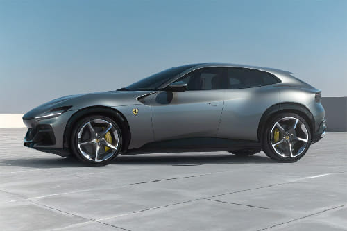 Purosangue Side view