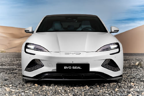 Full Front View of Seal