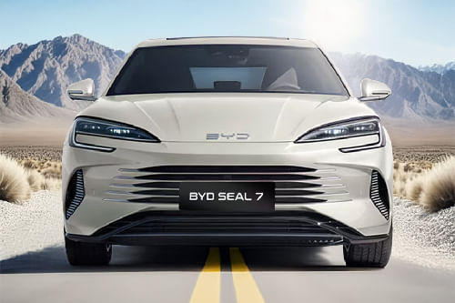 Full Front View of Seal 7