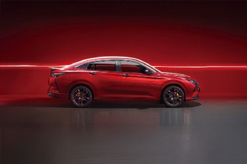 شاين Medium Angle Front View