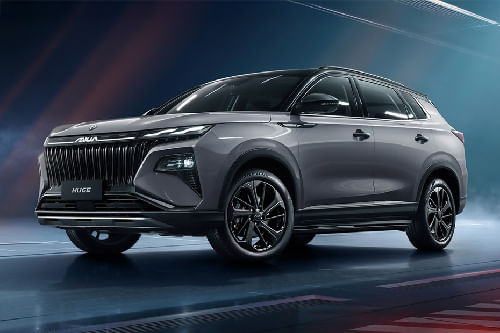 هيودج Front deep low Angle View