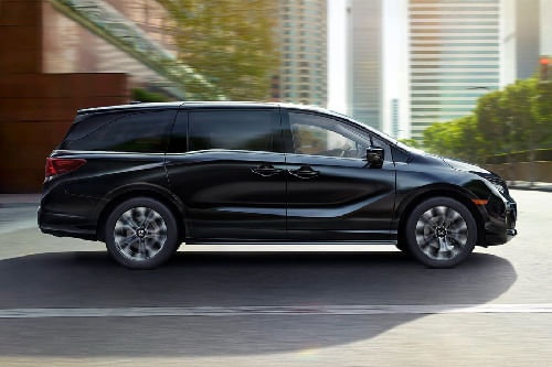 Odyssey Medium Angle Front View