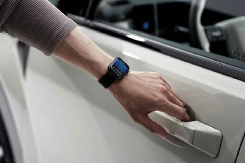 Santa Fe Door handle