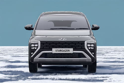 Full Front View of Stargazer