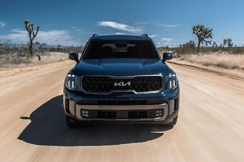 Full Front View of تيلورايد