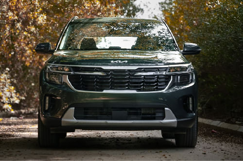 Full Front View of سيلتوس