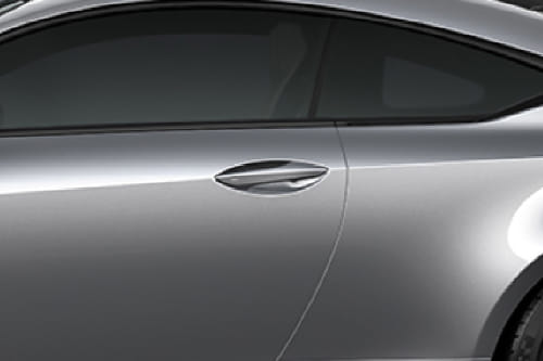 RC F Door handle