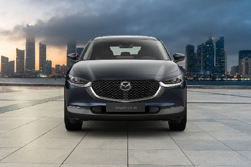 Full Front View of سي اكس-30