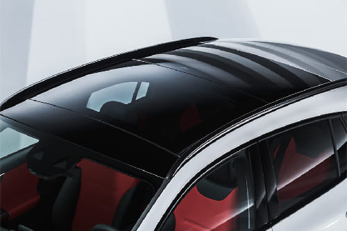 الفئة- جي ال اى roof rail