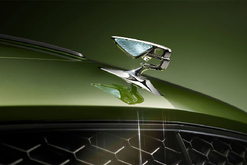 فلاينج سبير Grille View