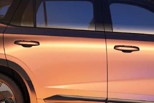 كوليوس Door handle