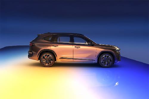 كوليوس Medium Angle Front View