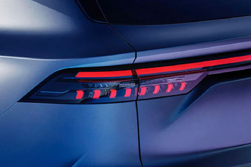 كوليوس Tail light