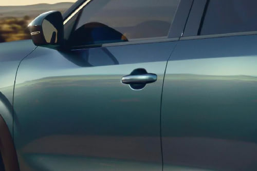 بوريال Door handle