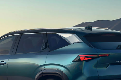 بوريال roof rail